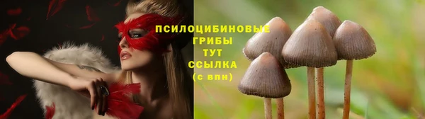 твердый Горно-Алтайск
